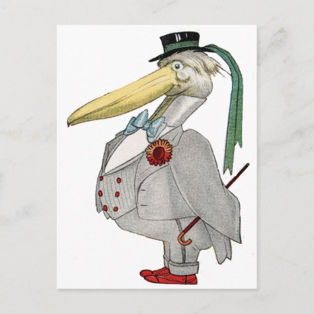 CARTE POSTALE M. PELICAN (Devant)