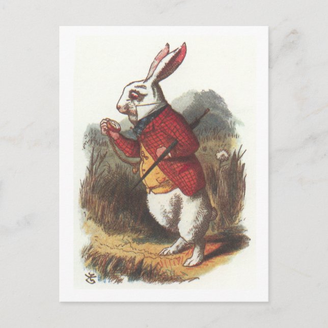 Carte Postale M. Rabbit ! (Devant)
