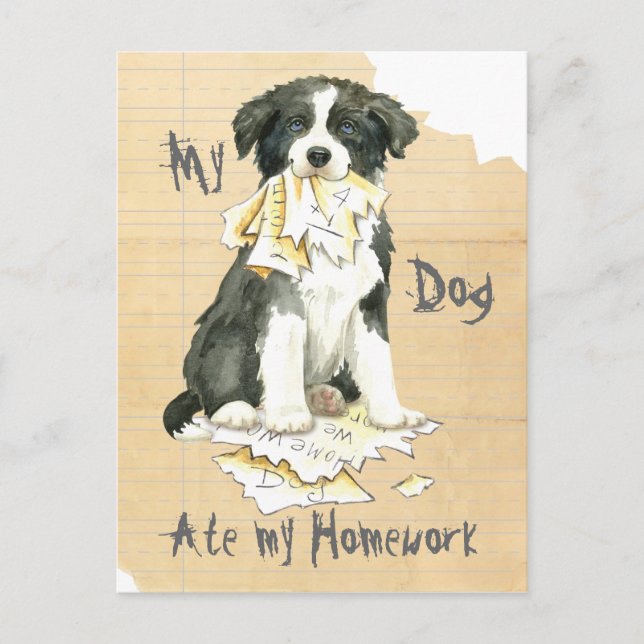 Carte Postale Ma frontière Collie Ate mes devoirs (Devant)