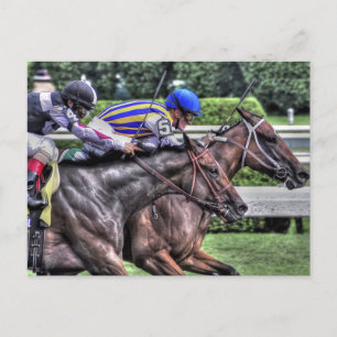 Carte Postale Ma Mlle Aurelia "L'Adirondack"