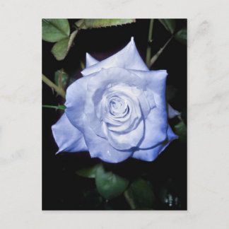 Carte Postale Ma petite princesse