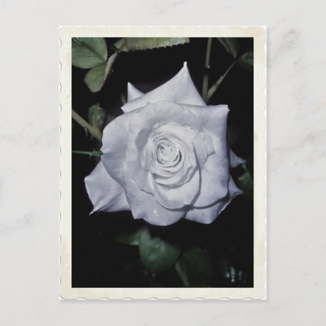 Carte Postale Ma petite princesse bleue (Devant)