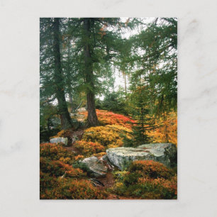 CARTE POSTALE MA VIE N'EST PAS CETTE HEURE VERTICALE