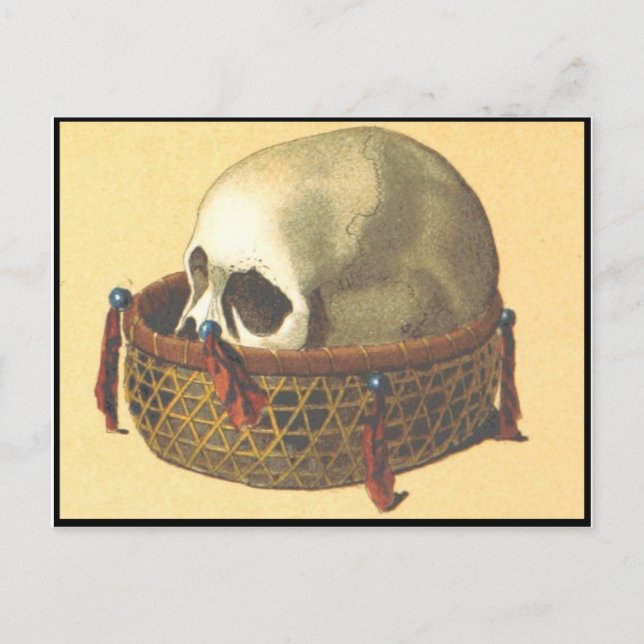 Carte Postale Macabre : Crâne - Nouvelle-Guinée (Devant)