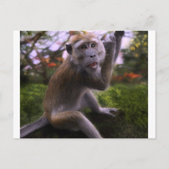 Carte Postale Macaque (Devant)