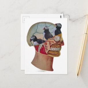 Carte Postale Macareux dans le Cerveau Collage surréaliste en te