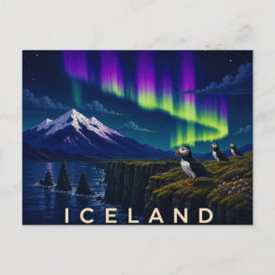 Carte Postale Macareux sur une falaise sous l'aurore   Islande i
