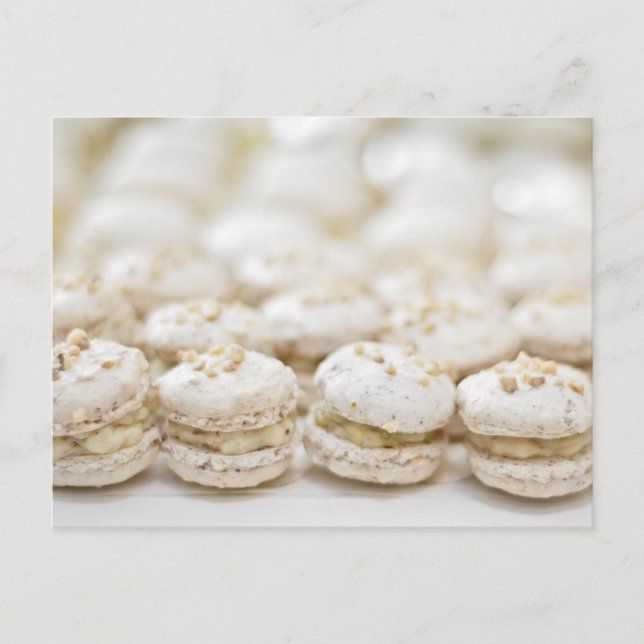 Carte Postale Macarons blancs (Devant)