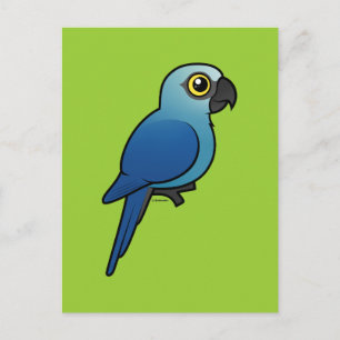 Carte Postale Macaw de Spix