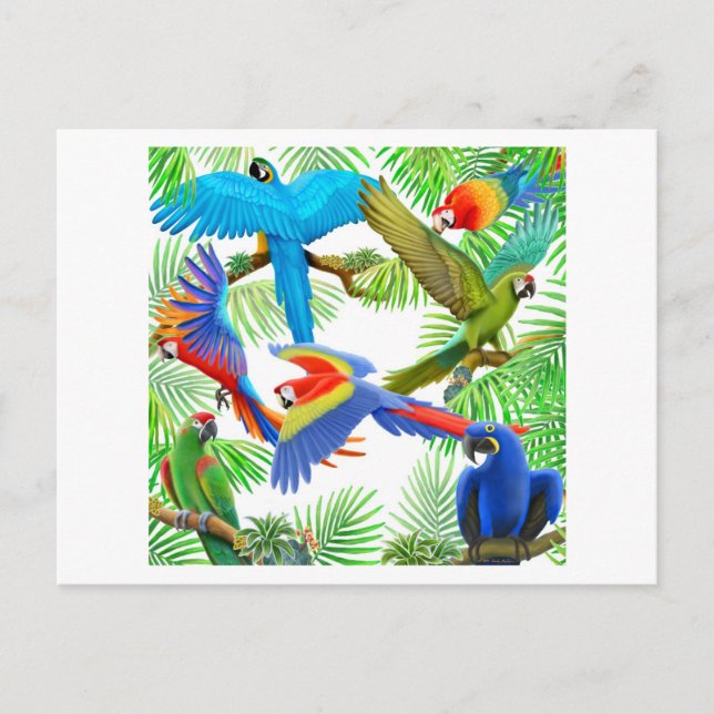 Carte postale Macaw Jungle (Devant)