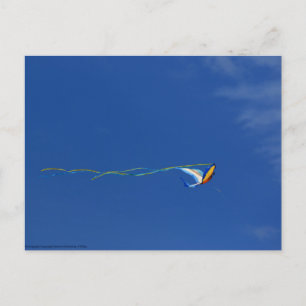 Carte Postale Macaw Kite
