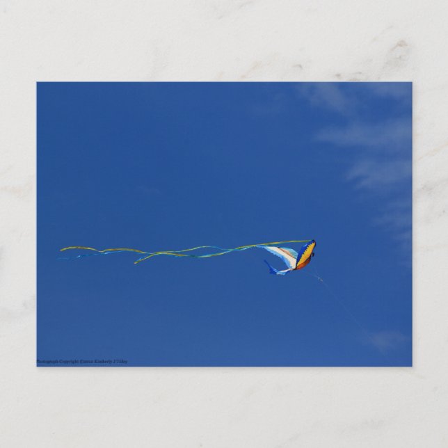 Carte Postale Macaw Kite (Devant)