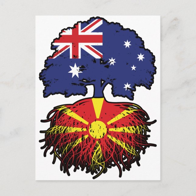 Carte Postale Macédoine Arbre australien macédonien (Devant)