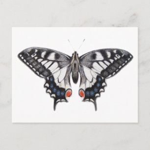 Carte Postale Machaon 2012