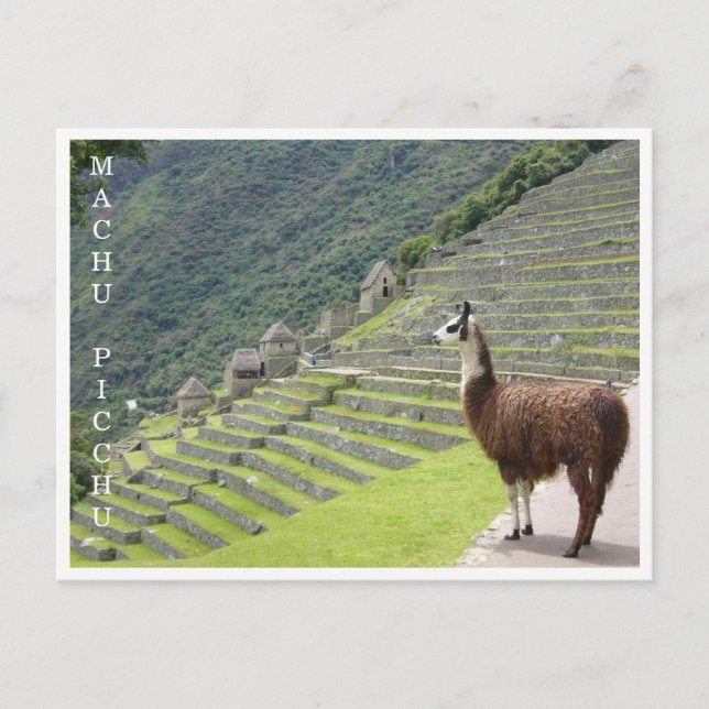 Carte Postale machu picchu (Devant)