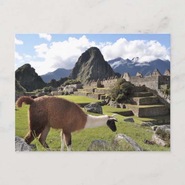 Carte Postale Machu Picchu (Devant)