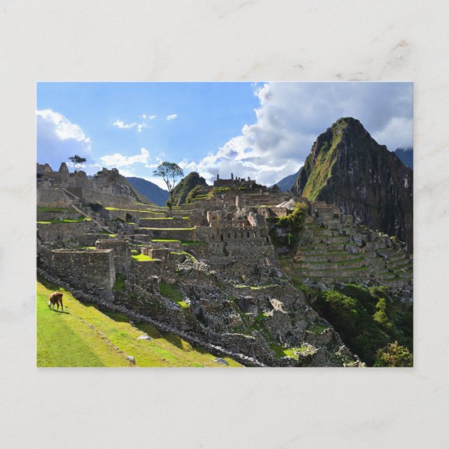 Carte Postale Machu Picchu, Pérou, après-midi (Devant)
