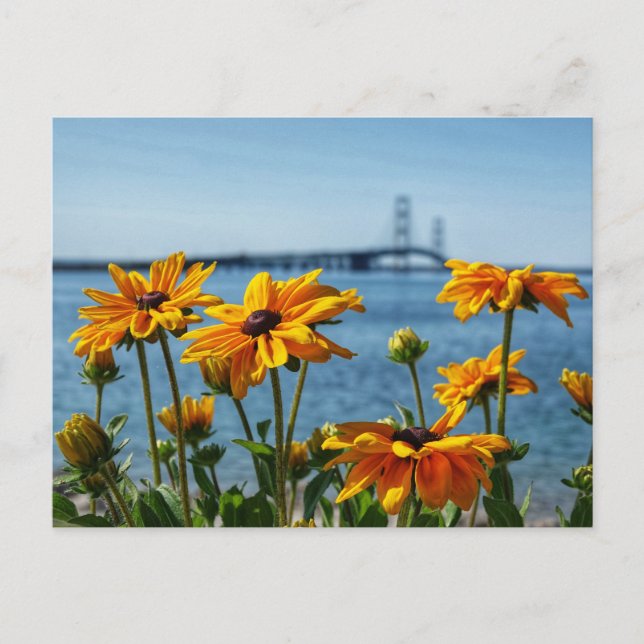 Carte Postale Mackinac Bridge aux yeux noirs (Devant)