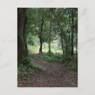 Carte Postale Maclay Gardens