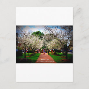 Carte Postale Macon, Géorgie