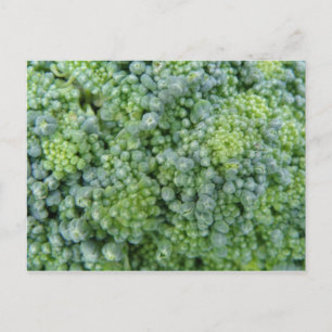 Carte postale Macro Broccoli