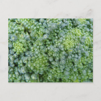 Carte postale Macro Broccoli