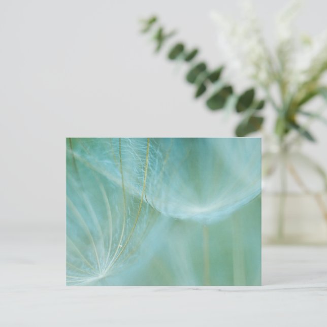 Carte Postale macro Dandelion (Debout devant)