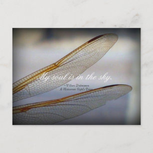 Carte Postale Macro des ailes de libellules avec citation de Sha