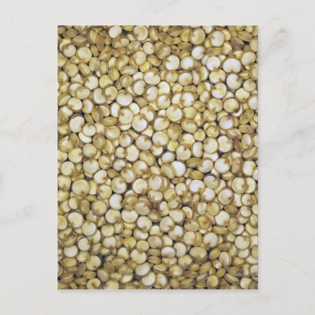 Carte Postale Macro des grains de quinoa (Devant)