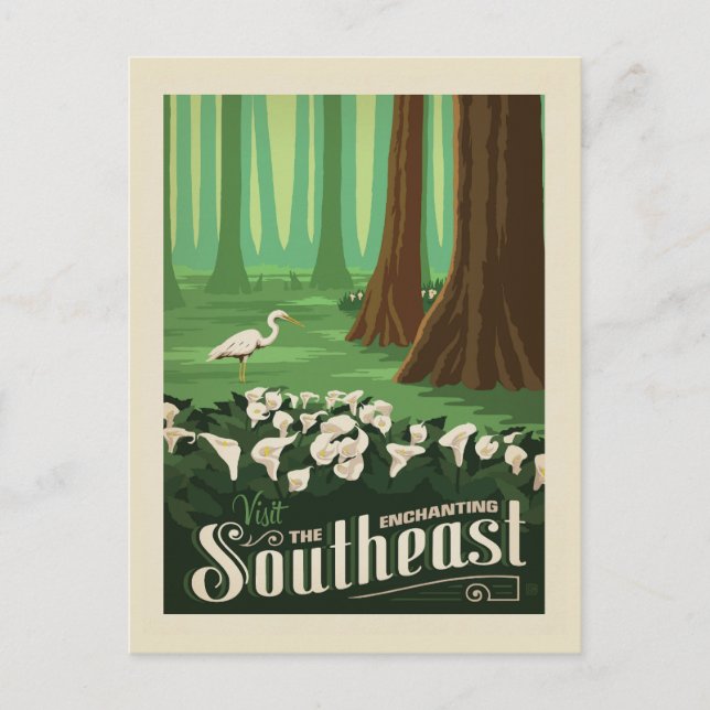 Carte Postale Macy's Flower Show | Sud-Est (Devant)