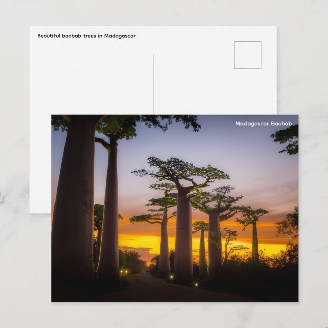 Carte postale Madagascar (Devant / Derrière)