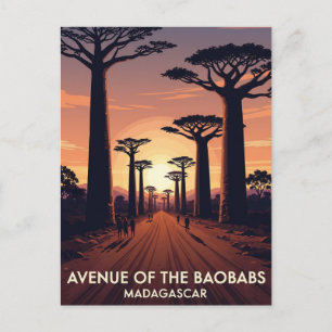 Carte Postale Madagascar Avenue of the Baobabs Travel