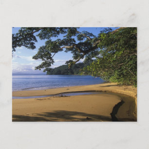 Carte Postale Madagascar, réserve spéciale de Nosy Mangabe, sur