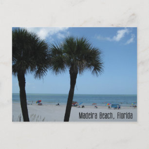 Carte Postale Madeira Beach Palms Postcard