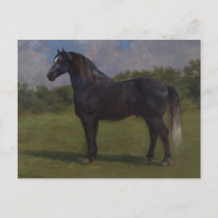 Carte postale Madere par Rosa Bonheur