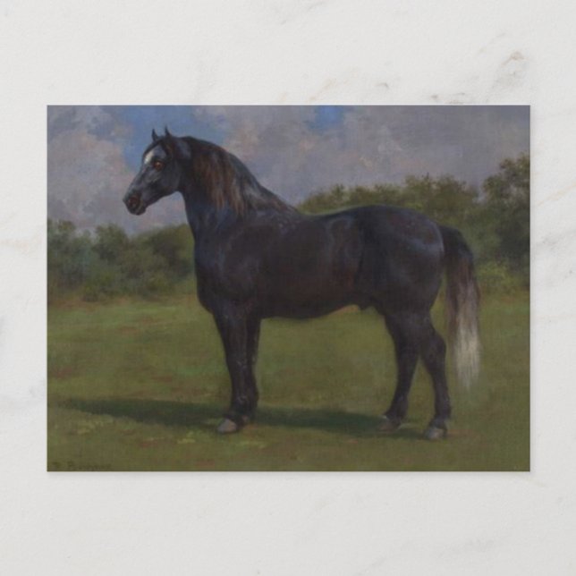 Carte Postale Madere par Rosa Bonheur Postcard (Devant)