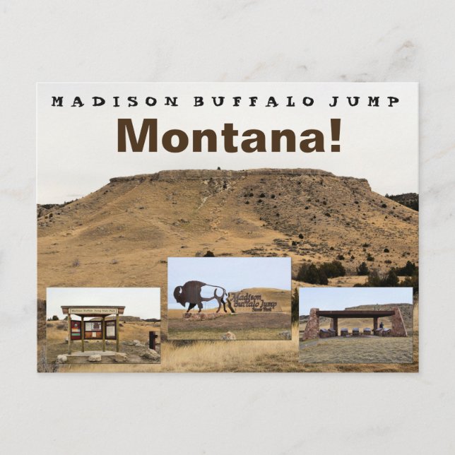 Carte Postale Madison Buffalo Jump