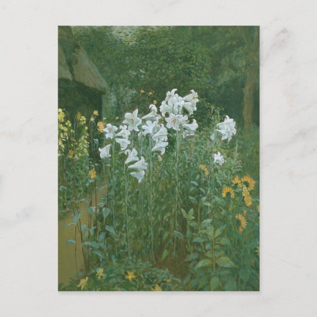 Carte Postale Madonna Lilies dans un jardin (Devant)