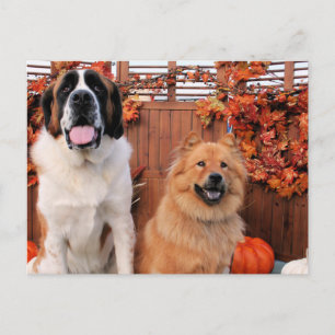 Carte Postale Mae St Bernard et Cinny Chow Photo-11