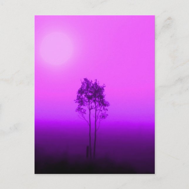 Carte postale Magenta Trees (Devant)