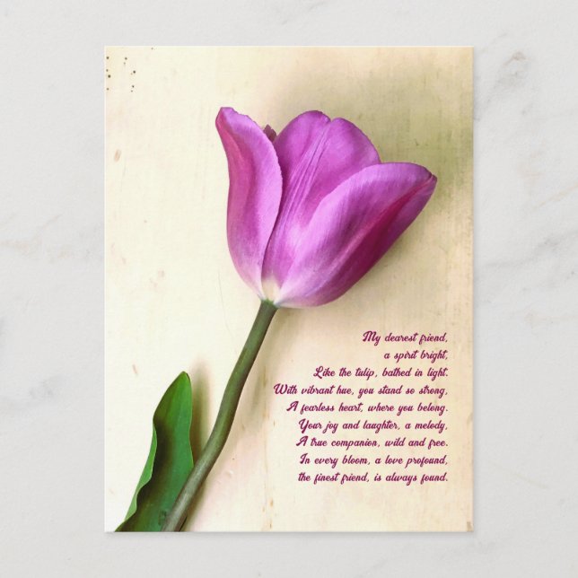 Carte Postale Magenta Tulip poétique (Devant)