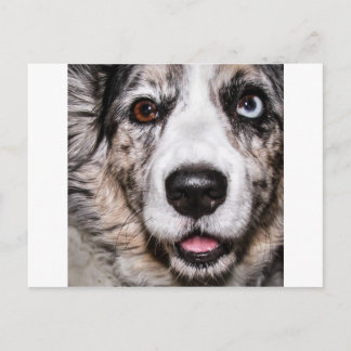 Carte Postale Maggie