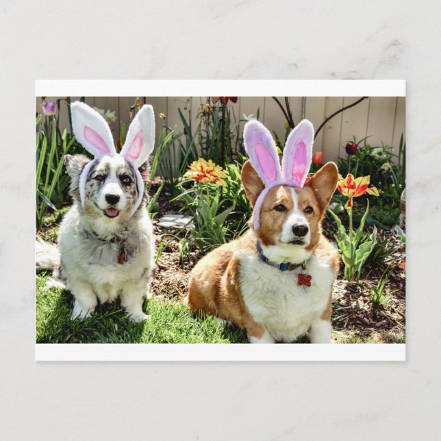 Carte Postale Maggie & Chuck (Devant)