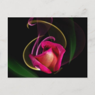 Carte Postale Magic Carousel Rose Postcards