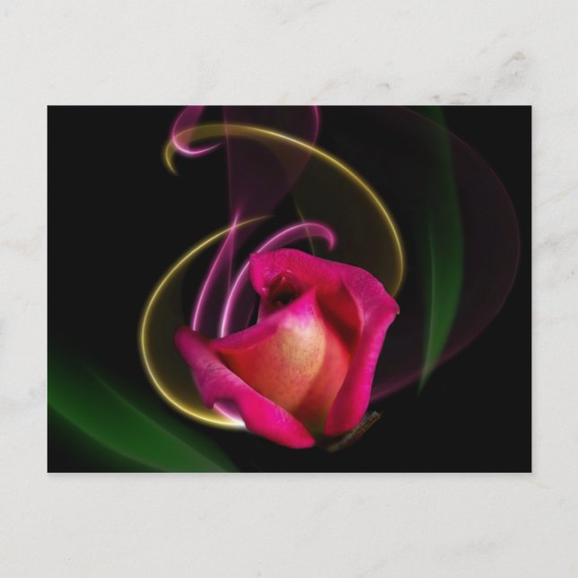 Carte Postale Magic Carousel Rose Postcards (Devant)