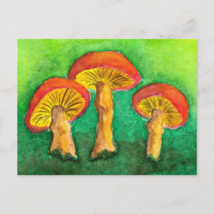 Carte postale Magic Mushroom Trio