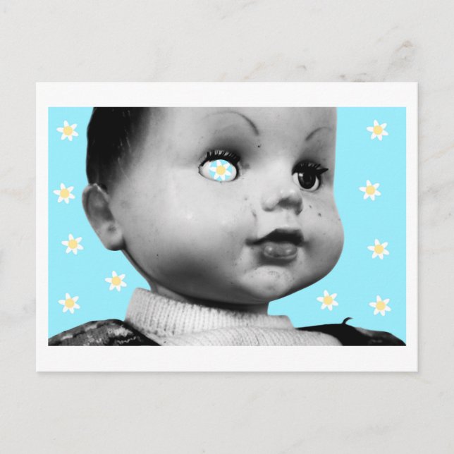 Carte Postale Magical Daisies for World Peace (Devant)