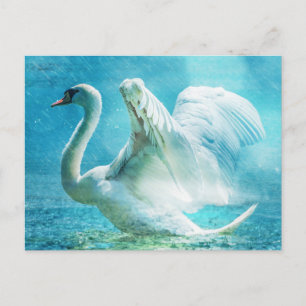 Carte Postale Magical Swan