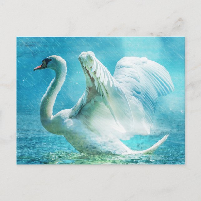 Carte Postale Magical Swan (Devant)