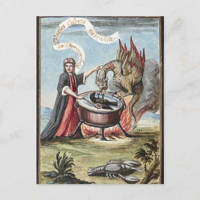 Carte Postale Magicien et dragon au Cauldron de l'Alchimie (Devant)